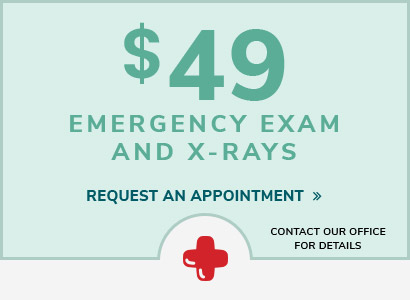 $49 dental emergency visit coupon
